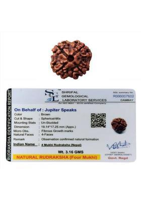 jupiter speaks 4 Mukhi Nepali Rudraksha 100% Original & Lab Certified Size 19mm Natural Brown Wood Pendant