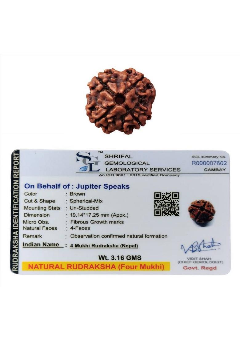 jupiter speaks 4 Mukhi Nepali Rudraksha 100% Original & Lab Certified Size 19mm Natural Brown Wood Pendant - Indya