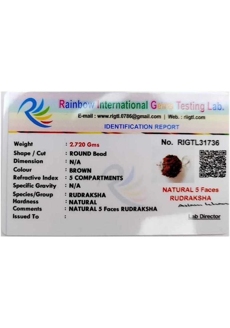 PRIYANSHU NAVRATN 5 Face 5 Mukhi Original Rudraksha Locket Certified Silver Beads Metal Pendant - Indya