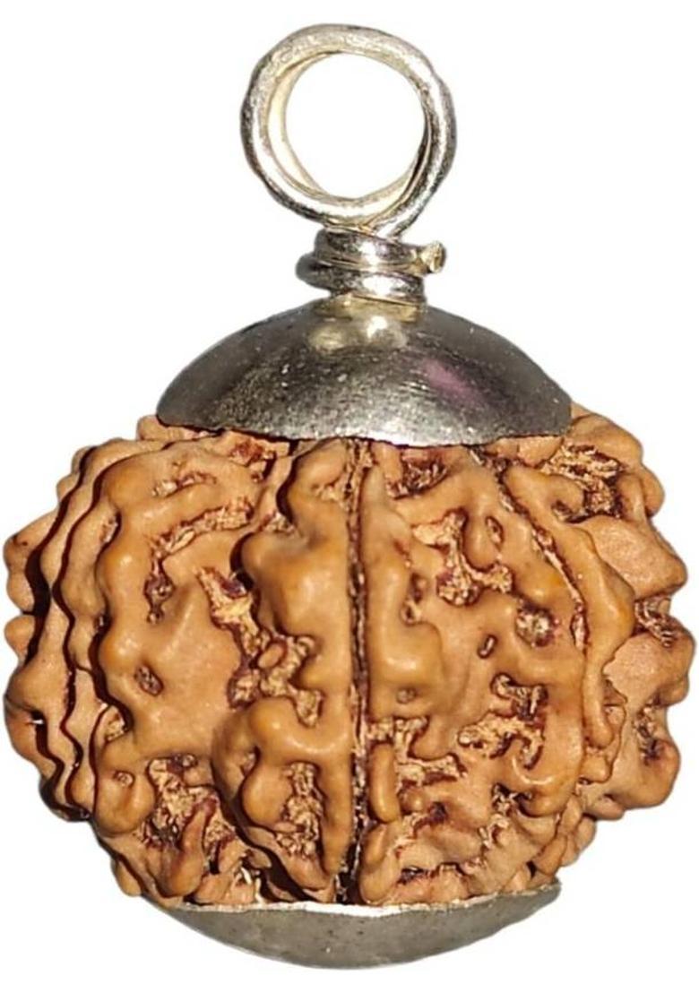 nepalirudraksh 7 Mukhi Rudraksha IGL Certified | Original Seller Nepali Rudraksh | Mother of Pearl Pendant - Indya