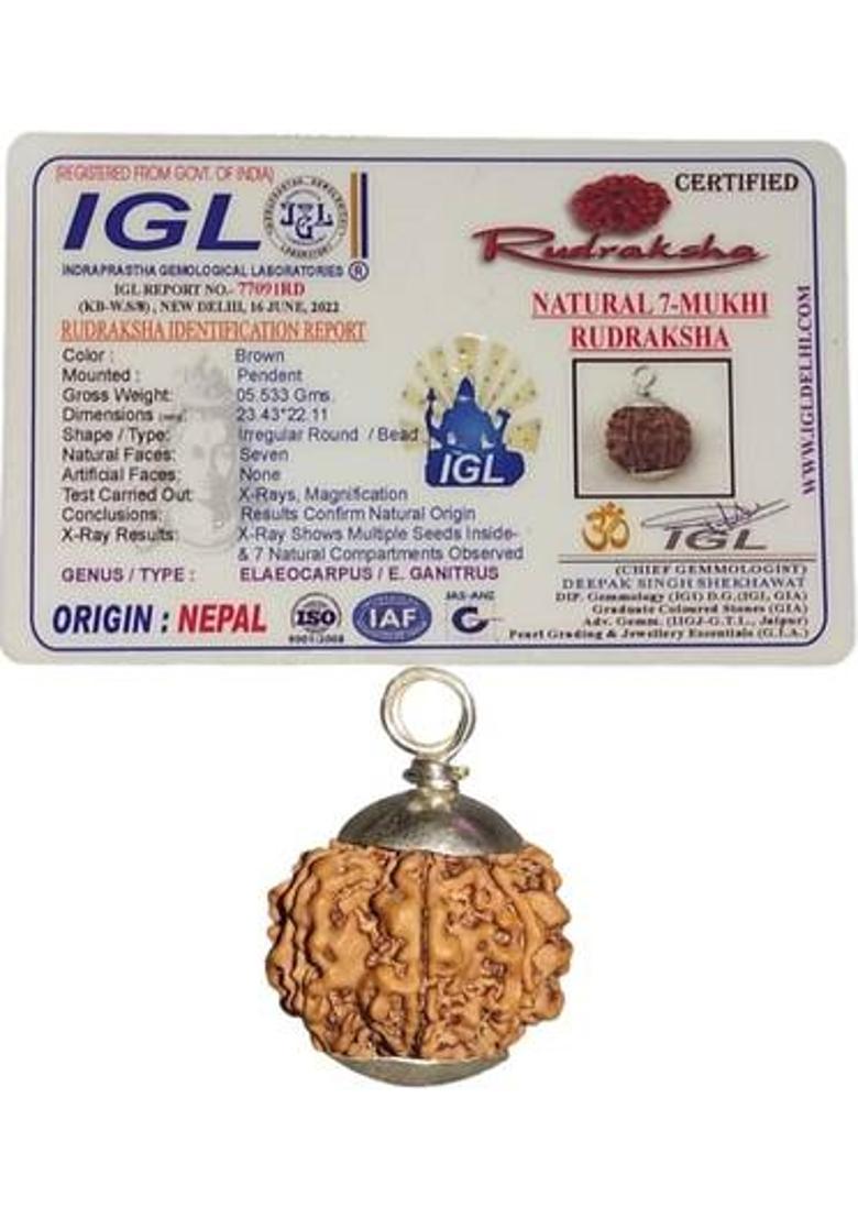 nepalirudraksh 7 Mukhi Rudraksha IGL Certified | Original Seller Nepali Rudraksh | Mother of Pearl Pendant - Indya