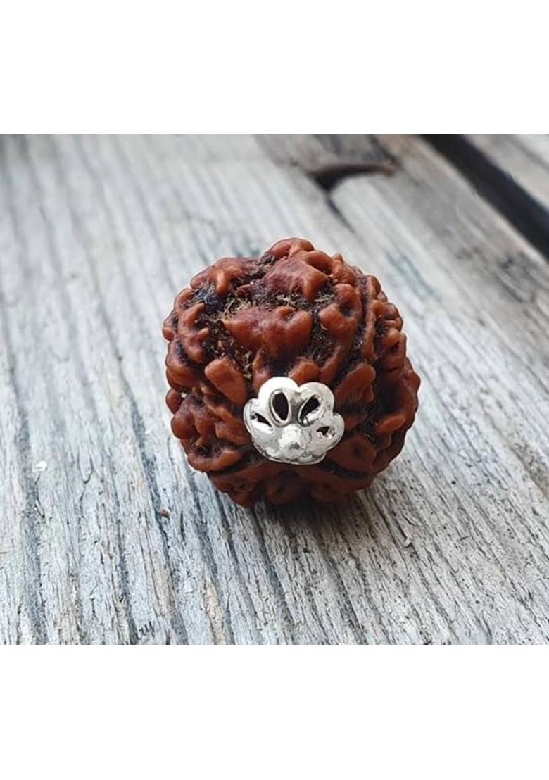 DIVINE SOUVENIRS 4 Mukhi Rudraksha Original Certified Nepali Char Mukhi Rudraksha Wood Pendant - Indya