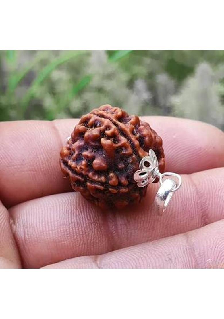 DIVINE SOUVENIRS 4 Mukhi Rudraksha Original Certified Nepali Char Mukhi Rudraksha Wood Pendant - Indya