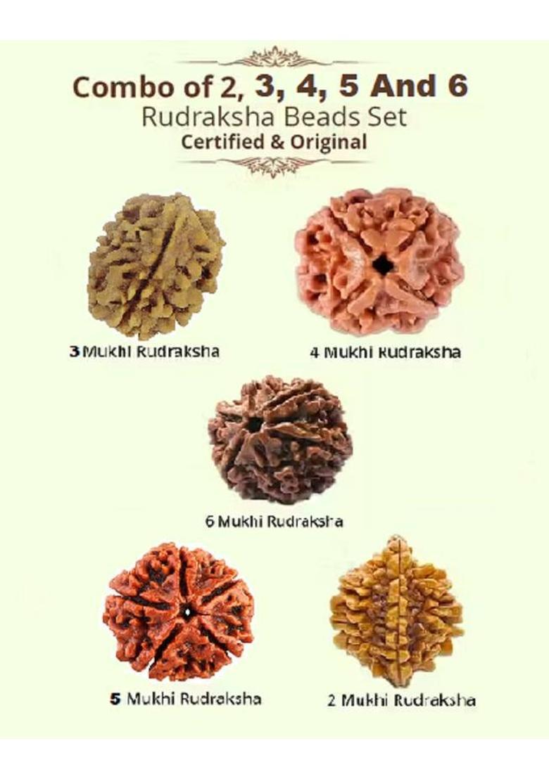 Shivtantra Premiun Quality 2,3,4,5,6 Faced Rudraksha Beads Combo Pack Wood - Indya