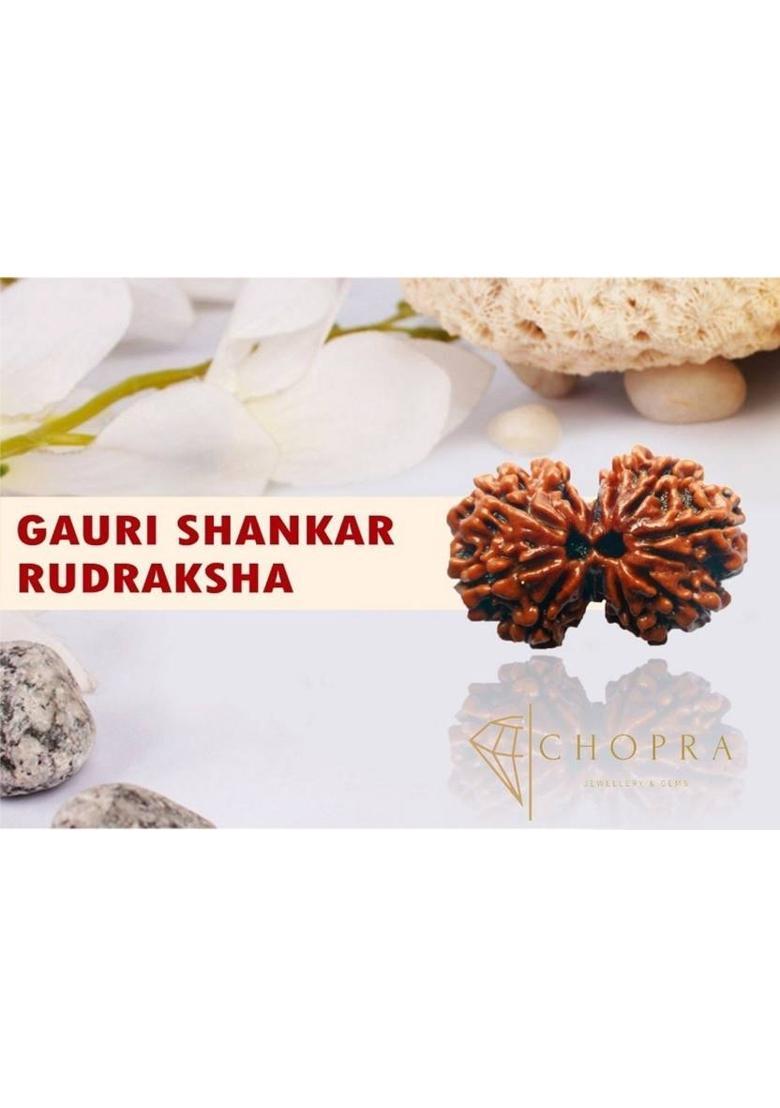 Chopra Gems Shiv Parvati/Gori Shankar Rudraksha 100% Genuine Quality for Men & Women Wood - Indya