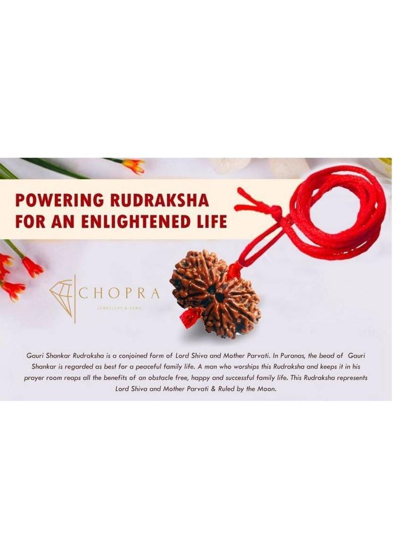 Chopra Gems Shiv Parvati/Gori Shankar Rudraksha 100% Genuine Quality for Men & Women Wood - Indya