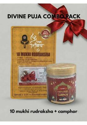 Robin Export Company 10 Mukhi Nepali Rudraksha Ten Faced Rudraksh With lab Tested Certificate Sterling Silver Wood