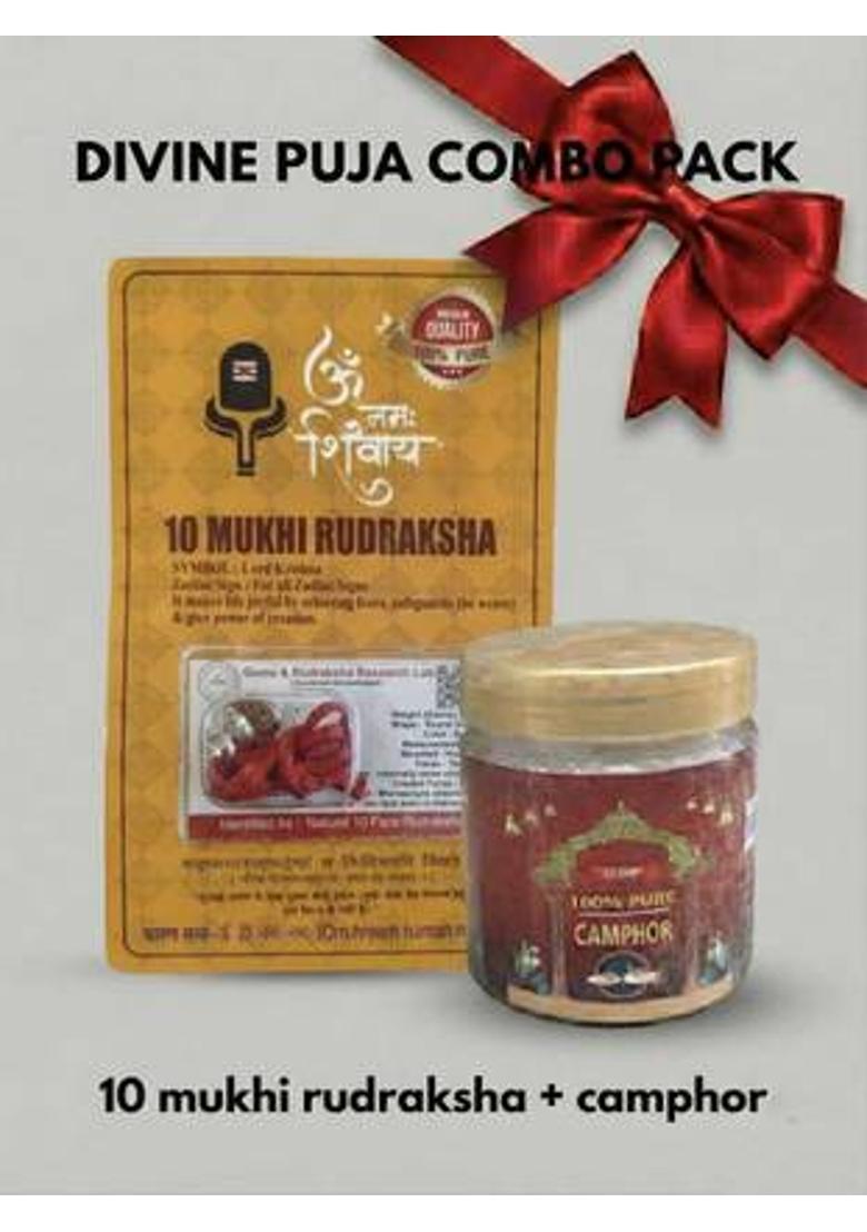 Robin Export Company 10 Mukhi Nepali Rudraksha Ten Faced Rudraksh With lab Tested Certificate Sterling Silver Wood - Indya