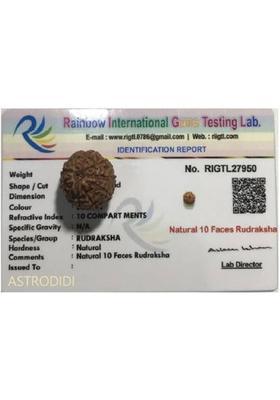 Astrodidi 10 Mukhi Java Rudraksha Ten Face Rudraksha Java Small Size Lab Certified Wood Pendant
