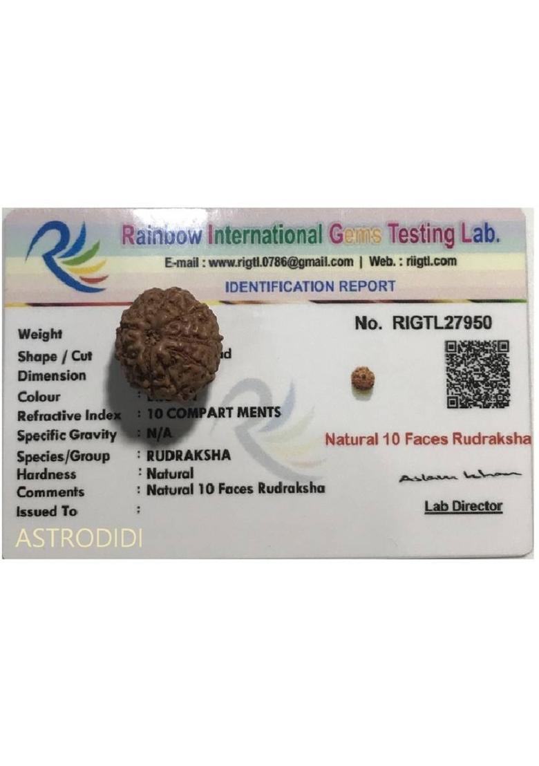 Astrodidi 10 Mukhi Java Rudraksha Ten Face Rudraksha Java Small Size Lab Certified Wood Pendant - Indya