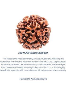 Jewelswonder 5 Mukhi Rudraksha HRC Lab Certified Wood Pendant
