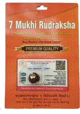 BHAKTI SHRINGAR 7 Mukhi Rudraksha Original Certified Lab Test & X-ray Report Sterling Silver Wood Pendant