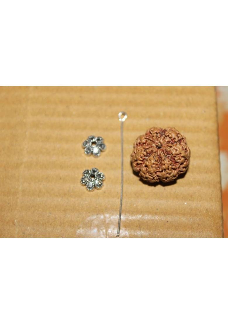 BHAKTI SHRINGAR 7 Mukhi Rudraksha Original Certified Lab Test & X-ray Report Sterling Silver Wood Pendant - Indya