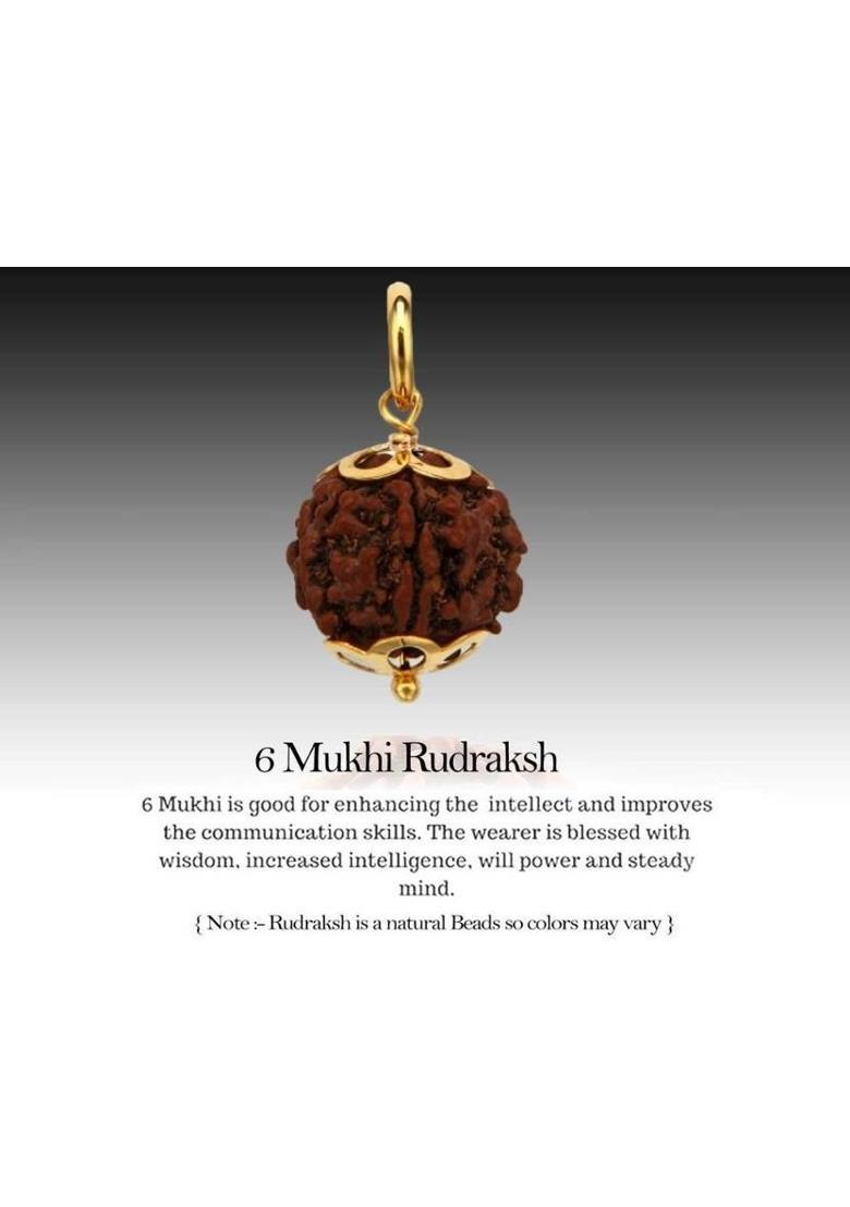Kuttumb Gems & Jewels 100% Original Six Face Rudraksha (6 Mukhi Rudraksh) Lab Certified For Unisex Gold-plated Wood Pendant - Indya