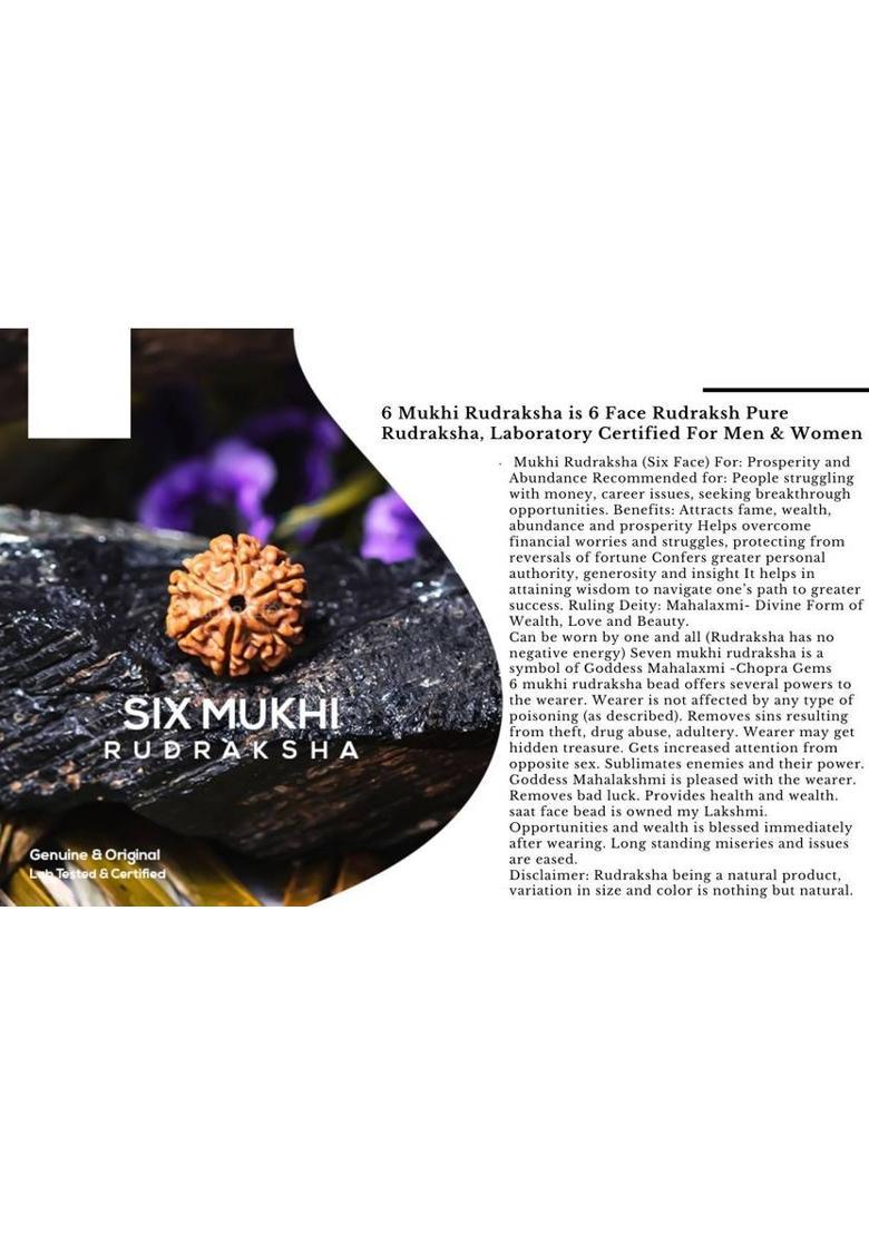 Kuttumb Gems & Jewels 100% Original Six Face Rudraksha (6 Mukhi Rudraksh) Lab Certified For Unisex Gold-plated Wood Pendant - Indya