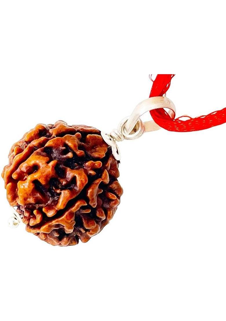 Beautum Original 6 Mukhi Nepali Rudraksha Six Face Rudraksh Wood Pendant - Indya