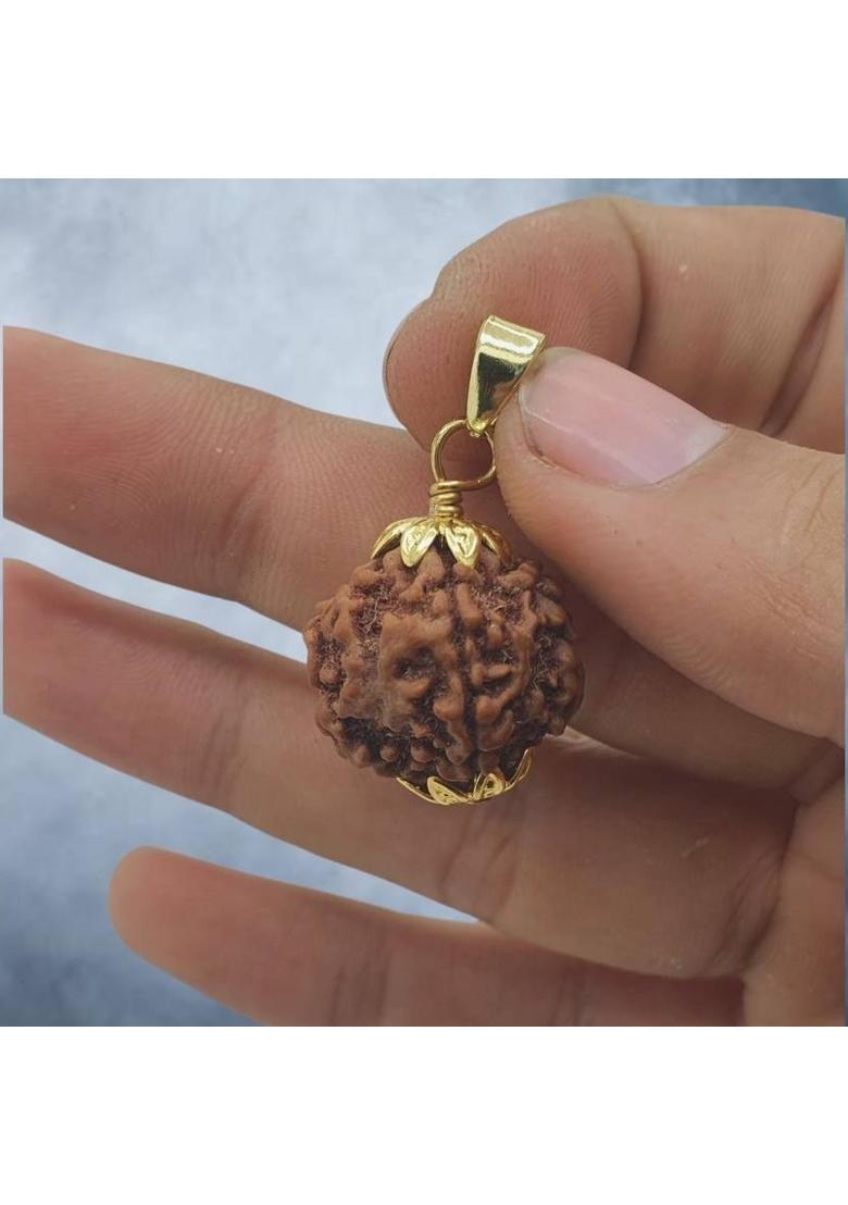Rudra gems Jewellery 5 Mukhi Rudraksha Original Certified IGL || Original Seller Nepali Rudraksha Gold-plated Beads Brass, Wood Pendant - Indya