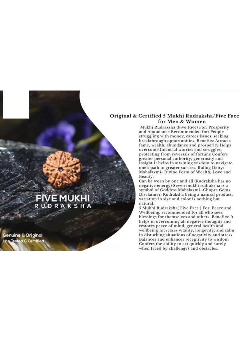 Rudra gems Jewellery 5 Mukhi Rudraksha Original Certified IGL || Original Seller Nepali Rudraksha Gold-plated Beads Brass, Wood Pendant - Indya