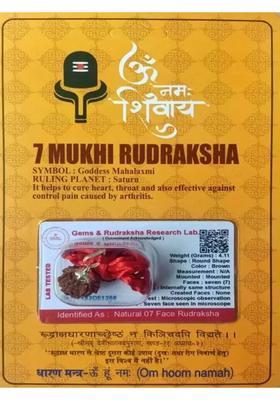 HARIDWARR 7 Mukhi Rudraksha With Lab Certified Wood Pendant Wood Locket