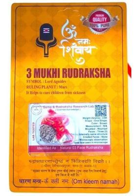 Robin Export Company Premium 3 Mukhi Nepali Rudraksha three face With tab tested Sterling Silver Wood Pendant
