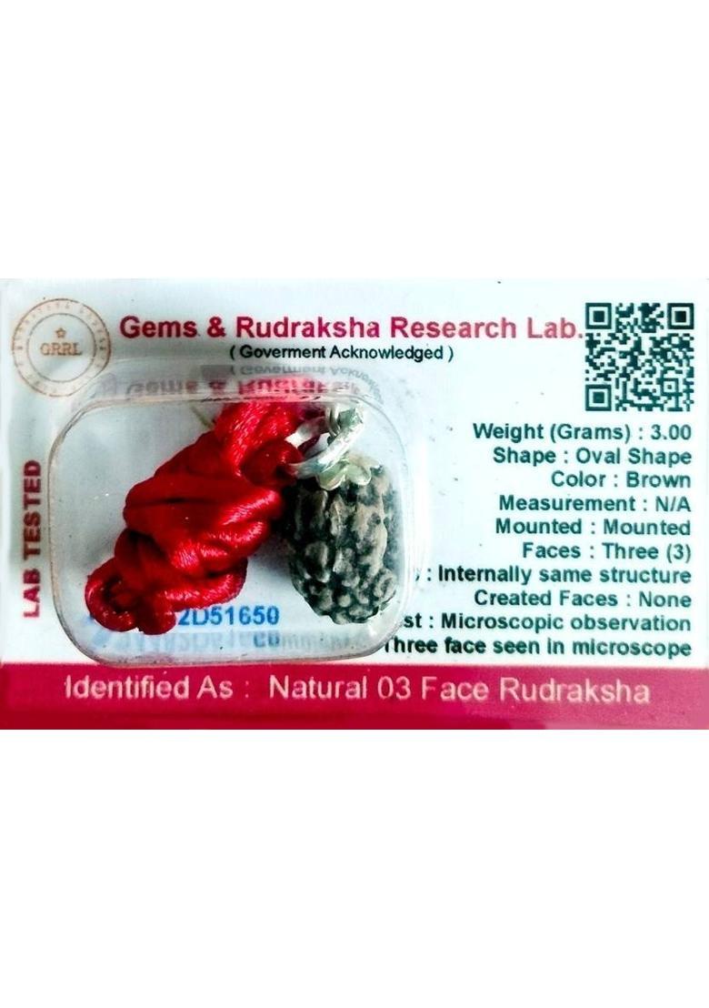 Robin Export Company Premium 3 Mukhi Nepali Rudraksha three face With tab tested Sterling Silver Wood Pendant - Indya