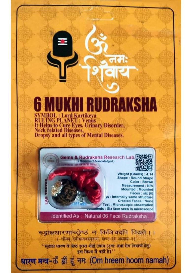 Robin Export Company Premium 3 Mukhi Nepali Rudraksha three face With tab tested Sterling Silver Wood Pendant - Indya