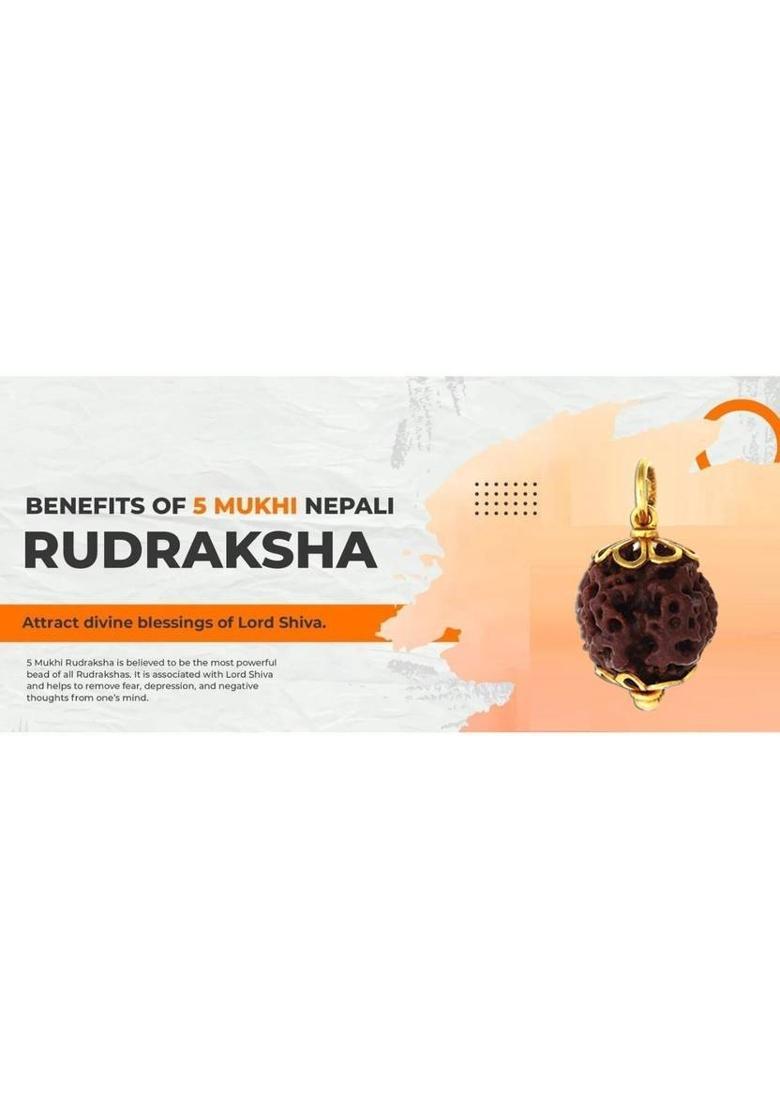 Fine Creation 5 Mukhi Rudraksha Natural Lab Certified (100% Original) Silver Wood Pendant - Indya