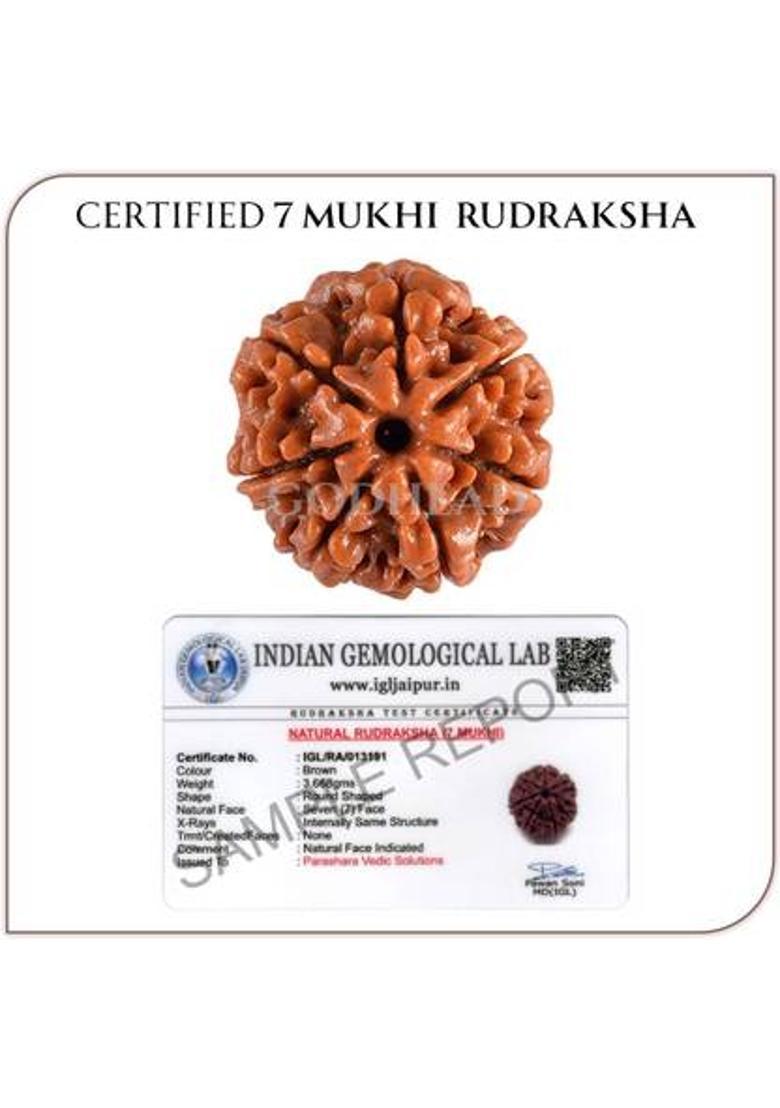 JangraBro GODHEAD 100% NATURAL/ORIGINAL CERTIFIED NEPALI 7 MUKHI RUDRAKSHA WOOD PENDANT Wood Pendant - Indya