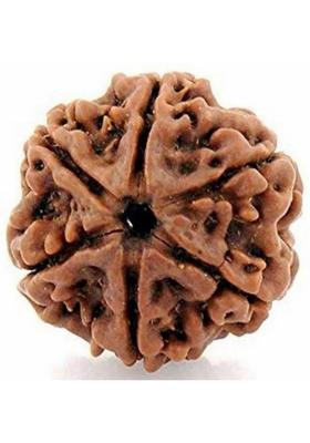 DIVINE SOUVENIRS 6 Mukhi Rudraksha Natural Lab Certified (100% Original) Wood Locket