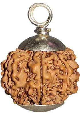 Nepali Rudraksha 7 Mukhi Rudraksha Original Certified with IGL | Original Seller Nepali Rudraksha Mother of Pearl