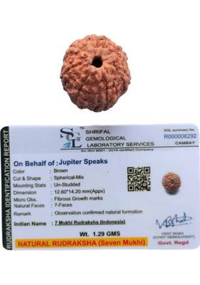 jupiter speaks 7 Mukhi Rudraksha Indonesian 14-15 mm Size With Lab Certificate Natural Brown Wood Pendant