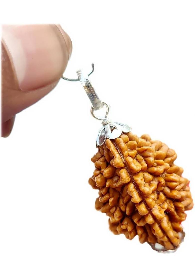 PRIYANSHU NAVRATN Lab Certified Natural 2 Mukhi Rudraksha Locket 2 Face Rudraksha Pendant Beads Silver Beads Wood Pendant - Indya