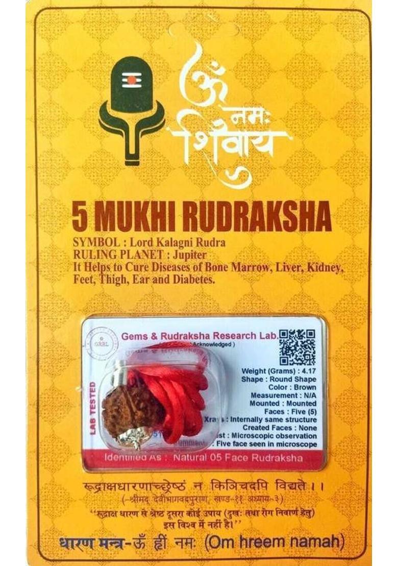 Divine rudras 5 Mukhi Rudraksha With Lab Certified, Wood Pendant - Indya