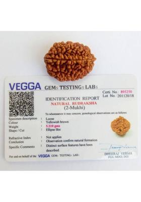 jupiter speaks Certified 2 Mukhi Rudraksha (Indian) for pendant, 100% Original Brown Color Size 18-25 mm for Men & Women Wood Pendant