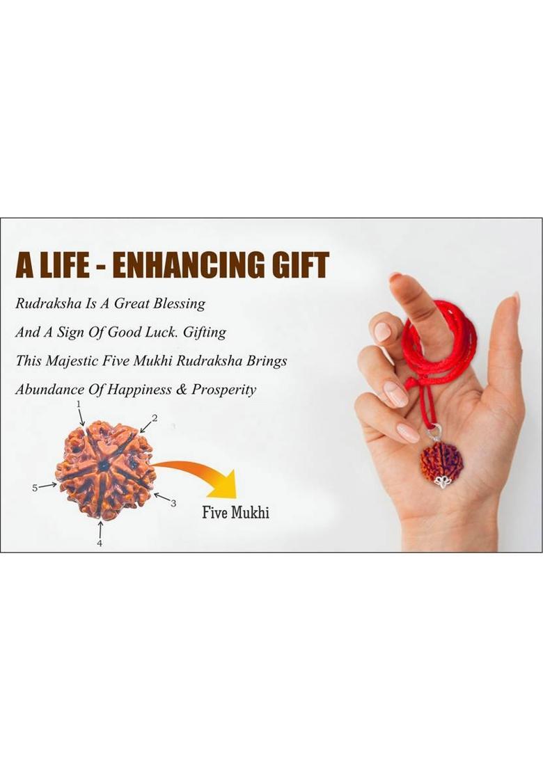 HAPPY CREATION 5 Mukhi Rudraksha, five Face Radraksha, 5 Face Radraksha, Original Rudraksha Silver Beads Brass, Wood Locket Set - Indya