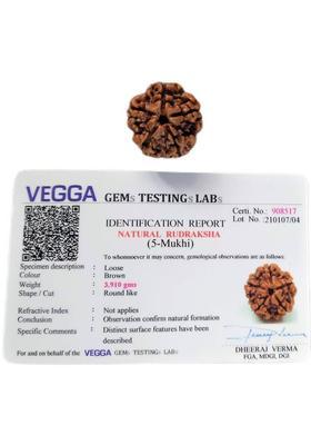 jupiter speaks Certified 5 Mukhi Rudraksha Nepal, 100% Original Five Face Ruthratcham Beads Size 18-20 mm Natural Color Brown With Red Silk Thread for Men & Women Wood Pendant