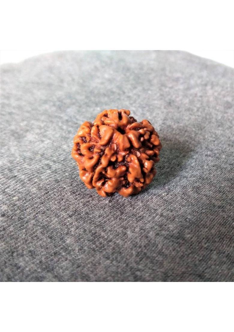 jupiter speaks Certified 5 Mukhi Rudraksha Nepal, 100% Original Five Face Ruthratcham Beads Size 18-20 mm Natural Color Brown With Red Silk Thread for Men & Women Wood Pendant - Indya