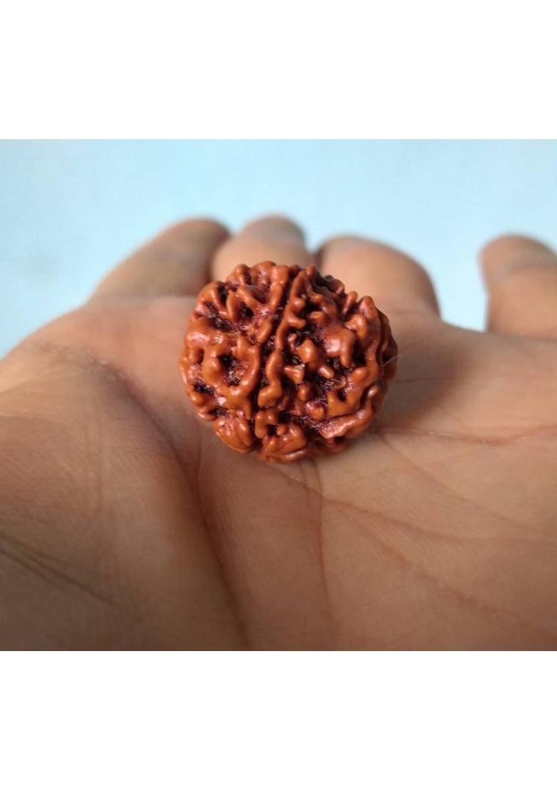 jupiter speaks Certified 5 Mukhi Rudraksha Nepal, 100% Original Five Face Ruthratcham Beads Size 18-20 mm Natural Color Brown With Red Silk Thread for Men & Women Wood Pendant - Indya