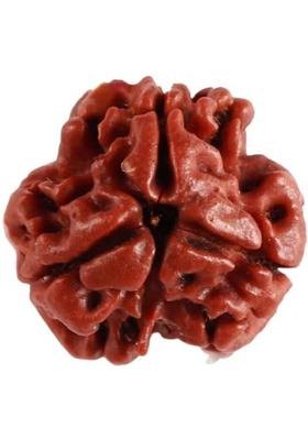 Beautum 3 MUKHI NATURAL ORIGINAL NEPALI RUDRAKSHA FOR MEN AND WOMEN Wood Pendant
