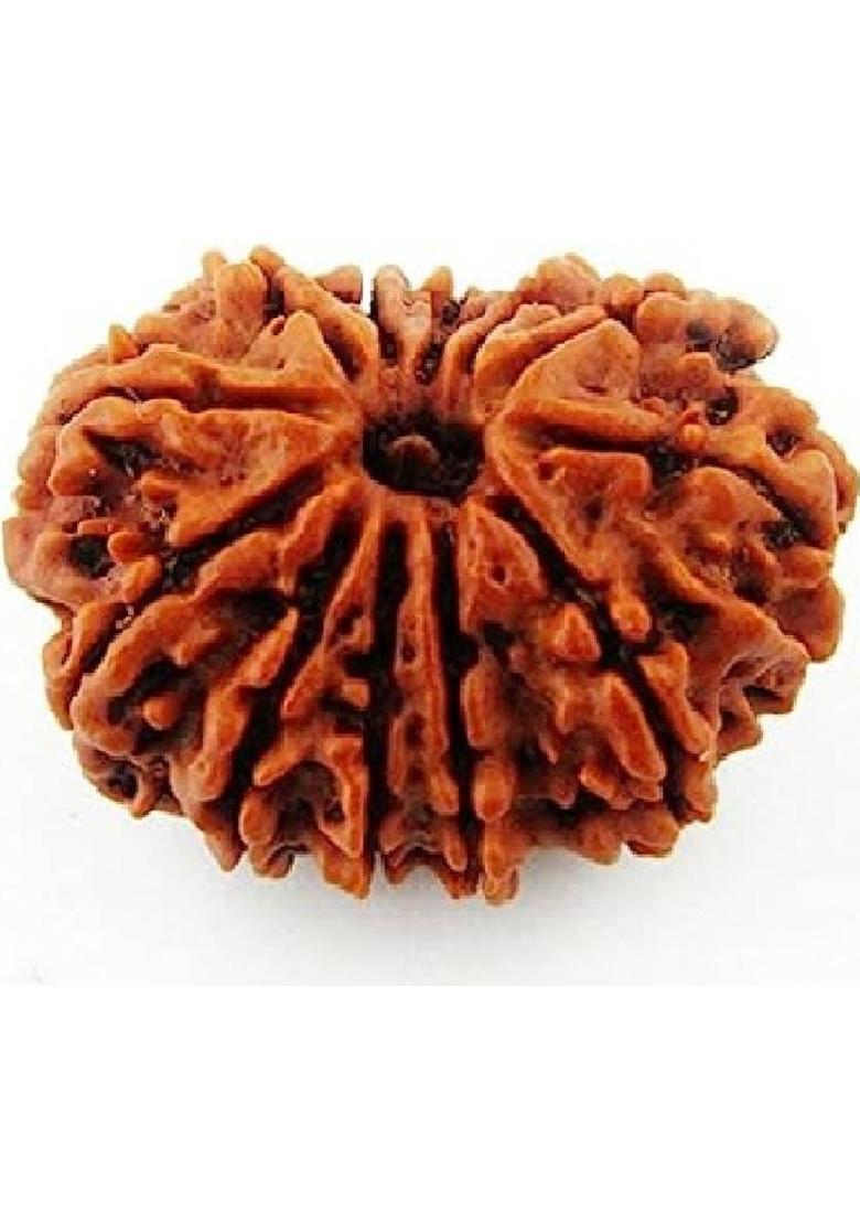 Ceylonmine01 Original 12 Mukhi Nepali Rudraksha Twelve Face Rudraksh Wood Pendant Wood - Indya