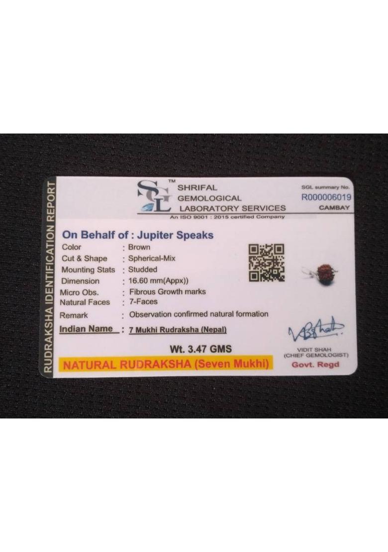 jupiter speaks 7 Mukhi Rudraksha Pendant With Lab Certificate, 100% Original 7 Mukhi Nepali Ruthratcham Bead Size 17-20 mm German Silver Color Brown for Men & Women Wood Pendant - Indya