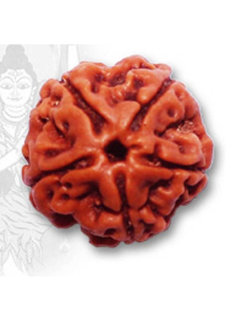 kartik gems HARI ALANKAR 5 MUKHI RUDRAKSHA five face 100% original Wood Pendant - Indya