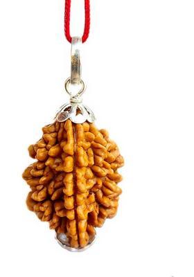 PRIYANSHU NAVRATN Lab Certified Natural 2 Mukhi Rudraksha Locket 2 Face Rudraksha Pendant Beads Silver Beads Wood Pendant