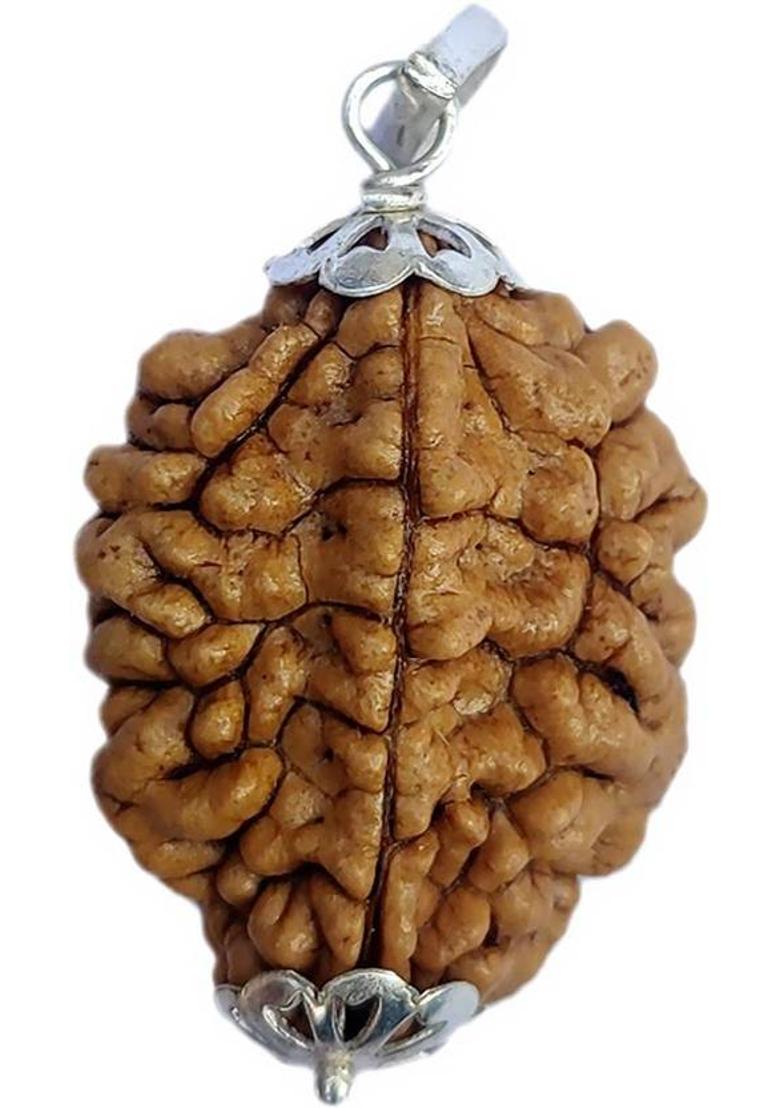 PRIYANSHU NAVRATN Lab Certified Natural 2 Mukhi Rudraksha Locket 2 Face Rudraksha Pendant Beads Silver Beads Wood Pendant - Indya