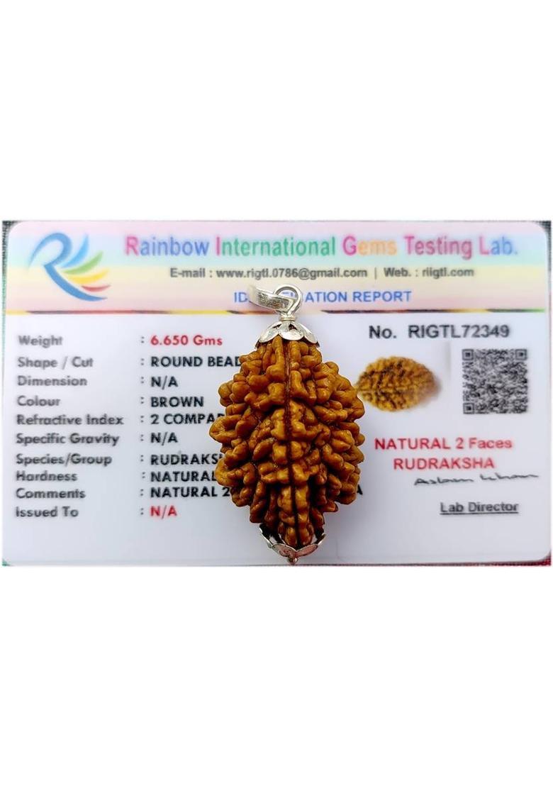 PRIYANSHU NAVRATN Lab Certified Natural 2 Mukhi Rudraksha Locket 2 Face Rudraksha Pendant Beads Silver Beads Wood Pendant - Indya