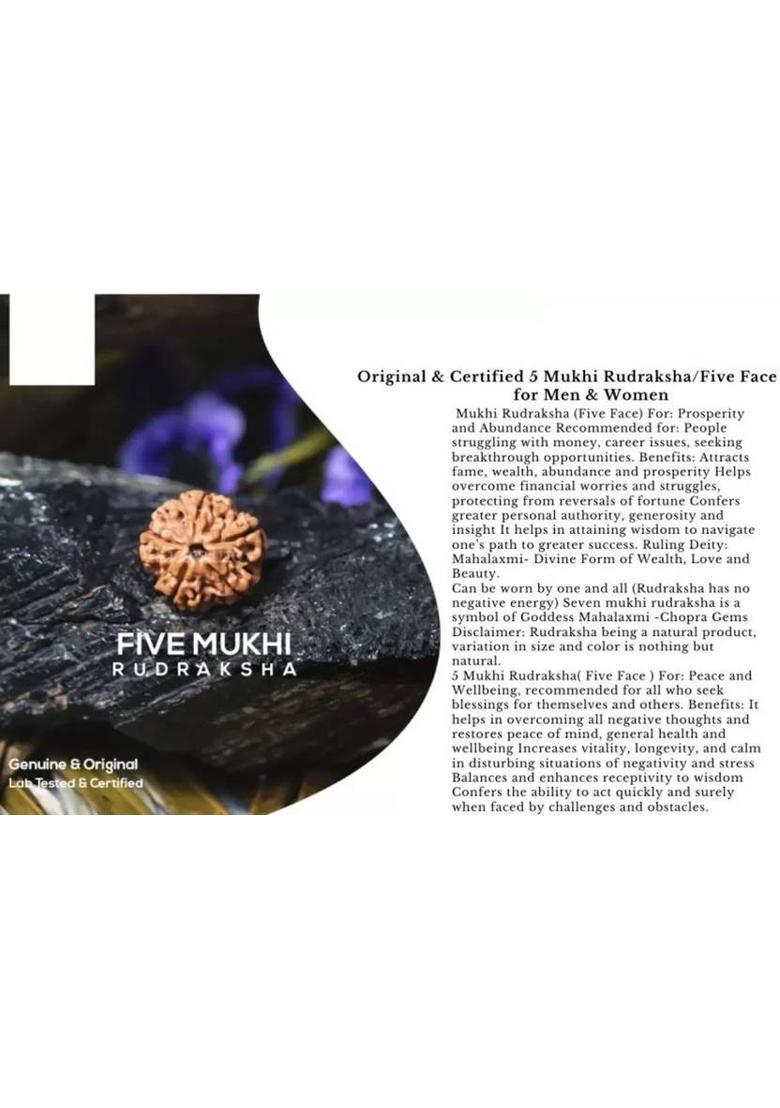 Fine Creation 5 Mukhi Nepali Rudraksha Five Face Rudraksh With Original Quality Certificate Silver Wood Pendant - Indya