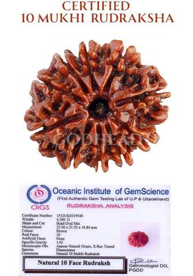 GODHEAD GODHEAD 100% NATURAL/ORIGINAL CERTIFIED NEPALI 10 MUKHI RUDRAKSHA WOOD PENDANT Wood Pendant