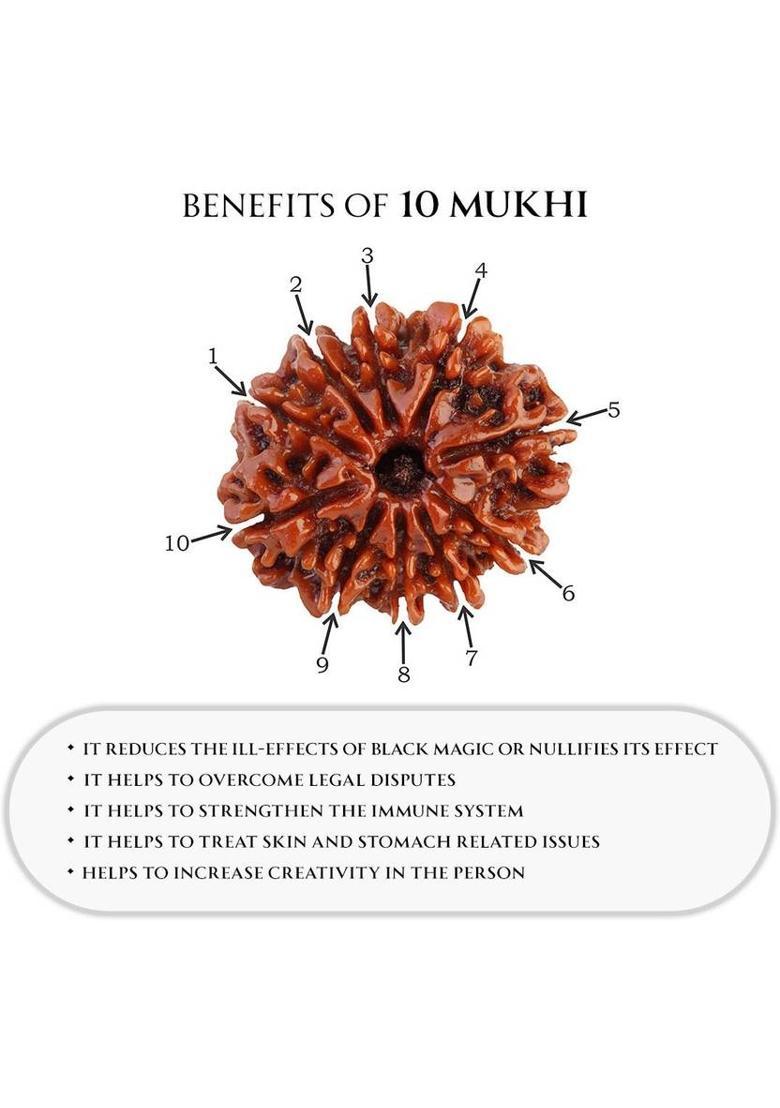 GODHEAD GODHEAD 100% NATURAL/ORIGINAL CERTIFIED NEPALI 10 MUKHI RUDRAKSHA WOOD PENDANT Wood Pendant - Indya