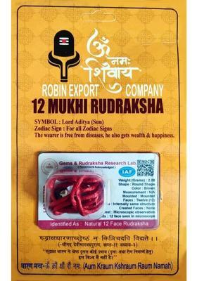 Robin Export Company 12 Mukhi Nepali Rudraksha Twelve Faced With Certificate Lab Test Sterling Silver Wood