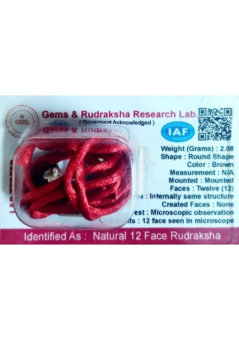 Robin Export Company 12 Mukhi Nepali Rudraksha Twelve Faced With Certificate Lab Test Sterling Silver Wood - Indya